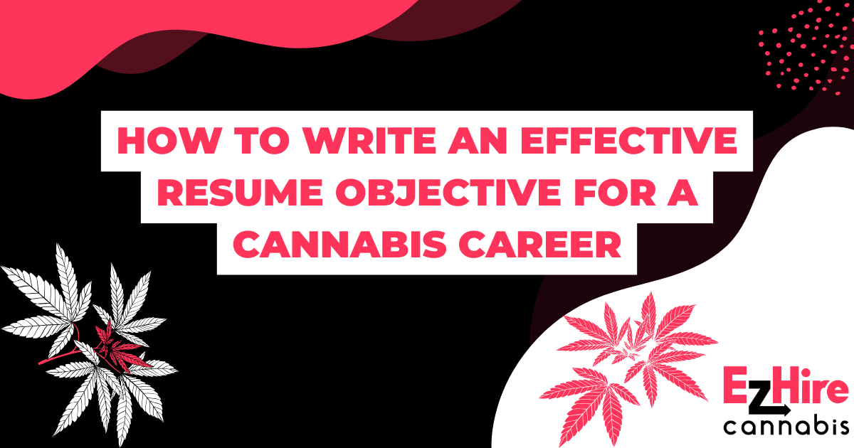 Crafting a Winning Resume Objective for a Cannabis Career