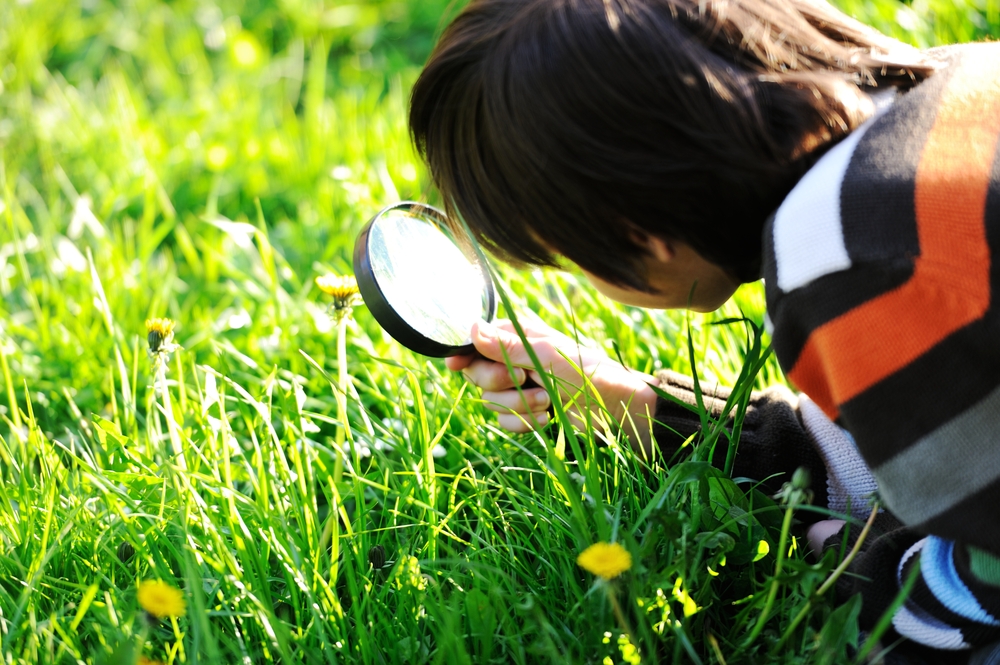 Happy kid enjoying sunny late summer and autumn day in nature on green grass