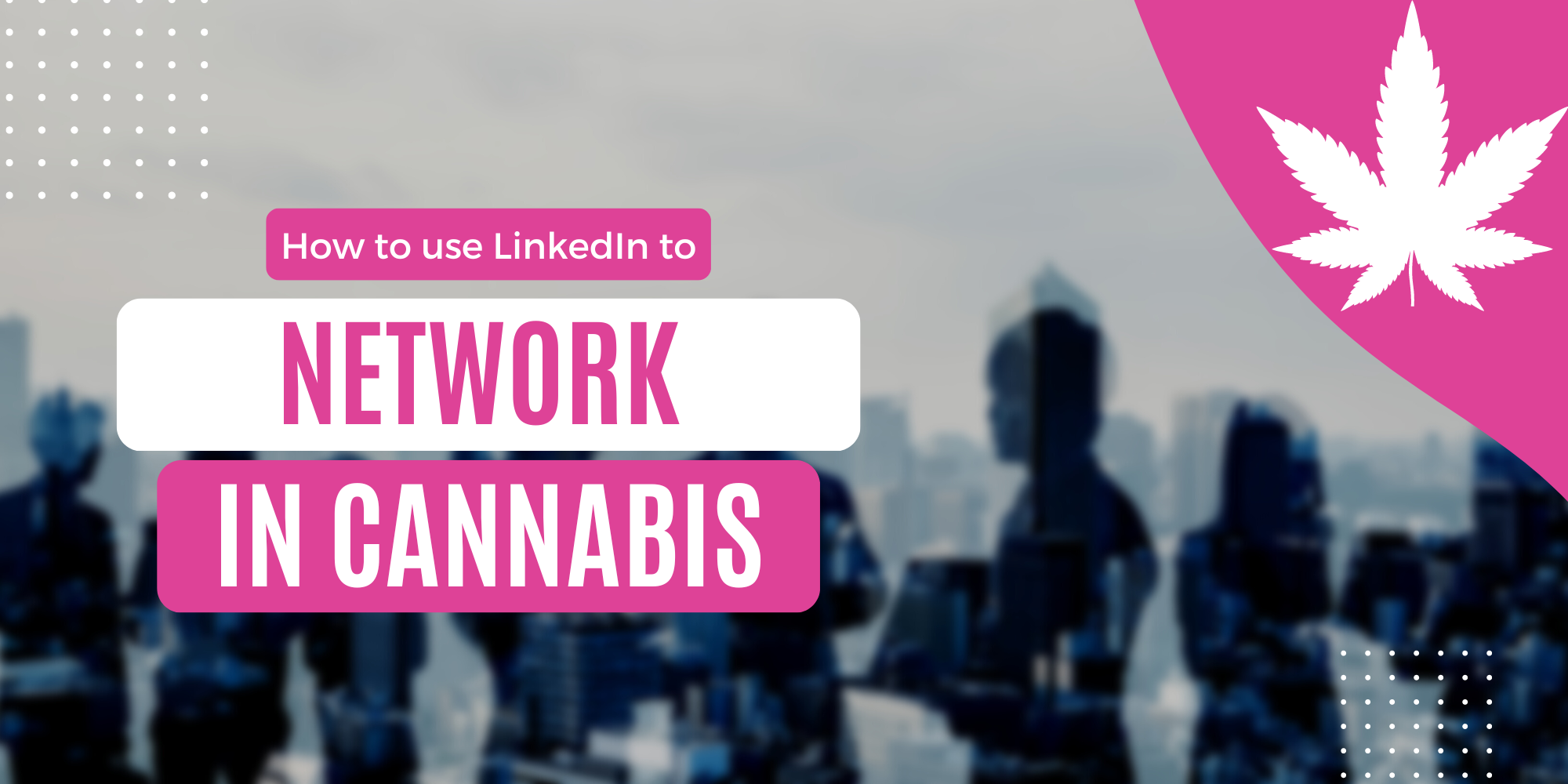 How to use LinkedIn to Network in the Cannabis Industry