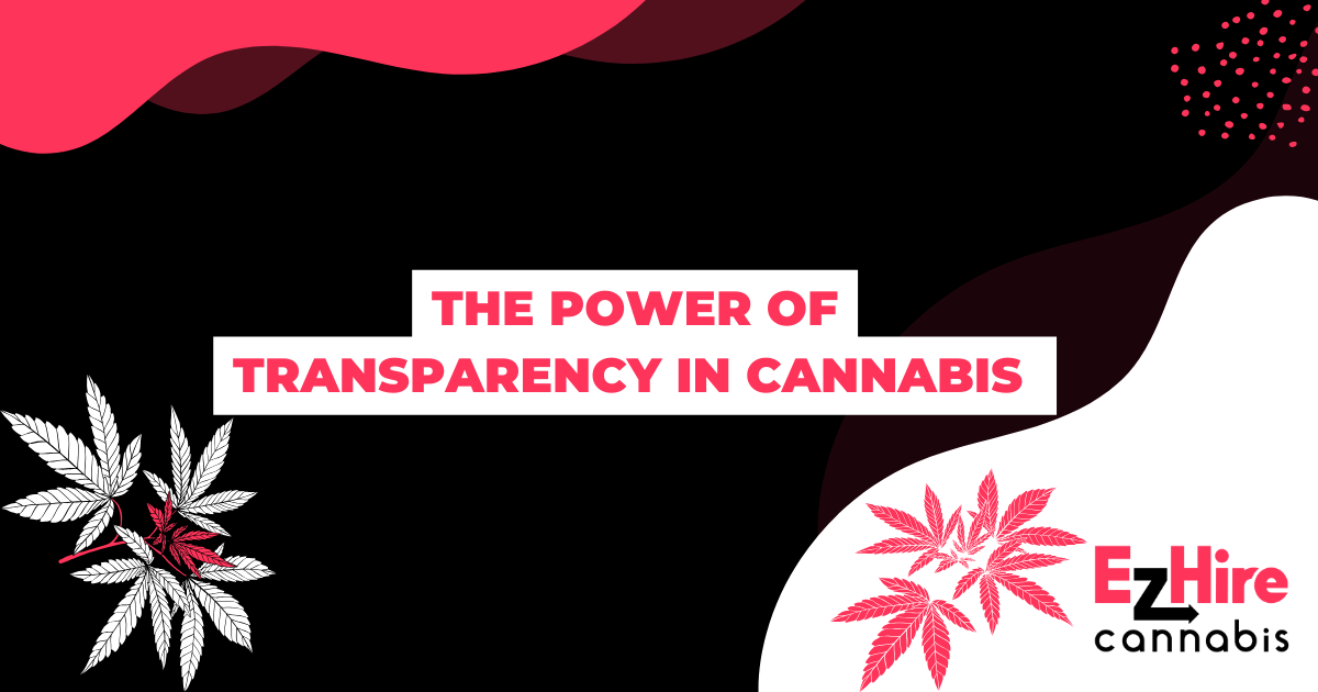 The Power of Transparency in Cannabis Hiring